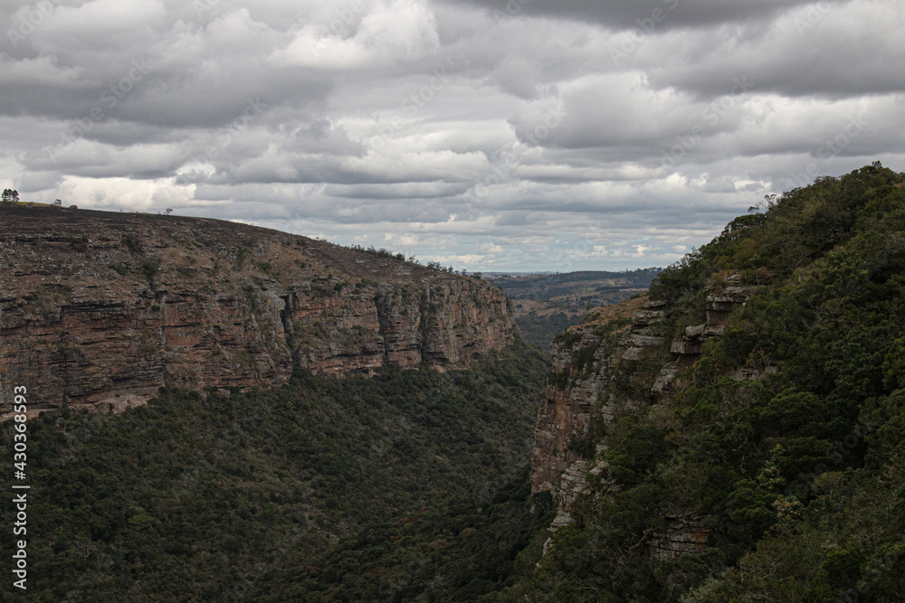 Fototapeta premium Steep Rocky Cliffs Leading Down into a Tree Lined Gorge