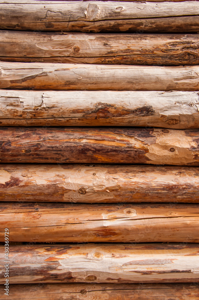 wooden texture, pine logs. wooden wall wooden texture, pine logs. wooden wall