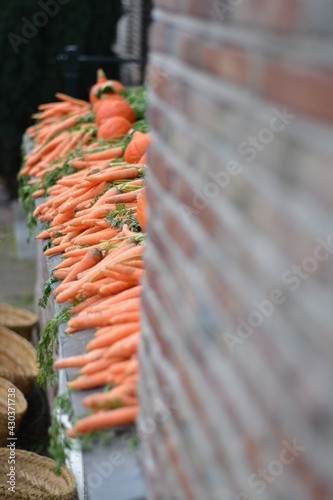 bunch of carrots