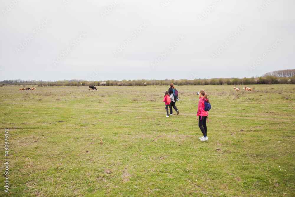 Family relax in nature reserve, mother with daughters walking in nature, spring landscape.