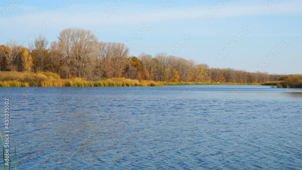 Blue sky over autumn orange forest and lake with blue water in sunny clear weather Blue sky over autumn orange forest and lake with blue water in sunny clear weather