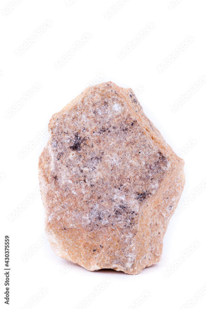 macro mineral stone dendrite manganese oxides on a white background macro mineral stone dendrite manganese oxides on a white background