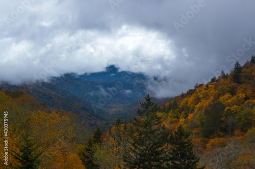 Fall mountain with colored leaves and clouds