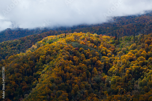 Fall mountain with colored leaves and clouds
