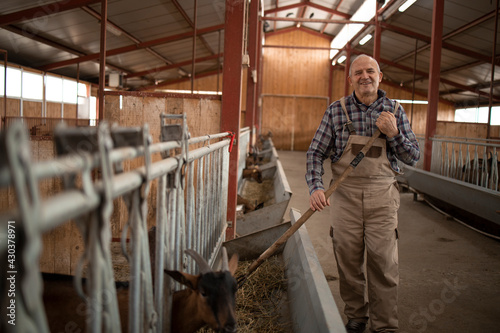 Portrait of smiling farmer or cattleman standing in farmhouse and feeding animals. In background goat domestic animals standing and eating.