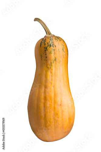 One ripe vegetable. Yellow ripe pumpkin on a white background