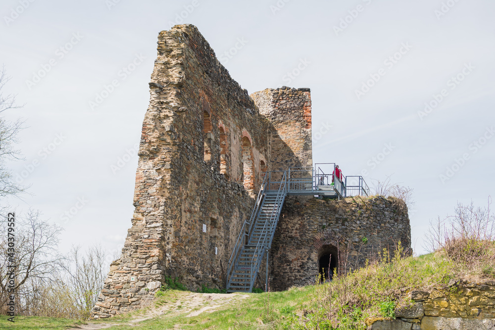 Ruins of ols castle Svamberk in Chzechia