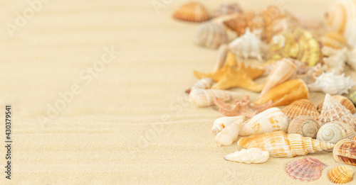 Summer background with seashells on the sand and place for text 