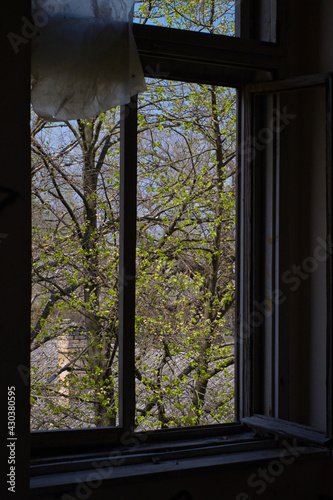 Garden view through the window of abandoned creepy building