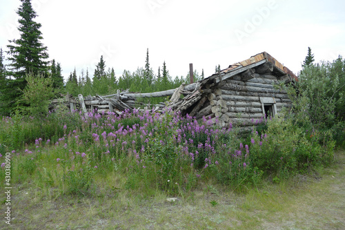 Old abandoned damaged wooden log hut in ghost Silver City, Kluane, Yukon, Canada photo