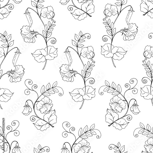 Seamless pattern with sweet pea branches, black and white contour print.