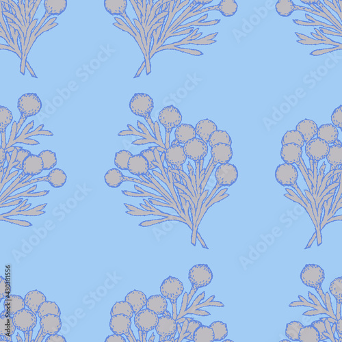 Seamless pattern with branches of Brunia albiflora plant.