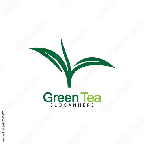 Green tea leaf logo vector icon illustration design isolated on white background-vector image