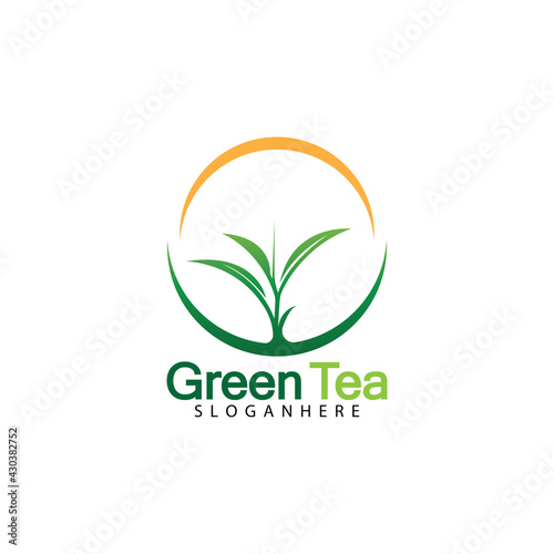 Green tea leaf logo vector icon illustration design isolated on white background-vector image