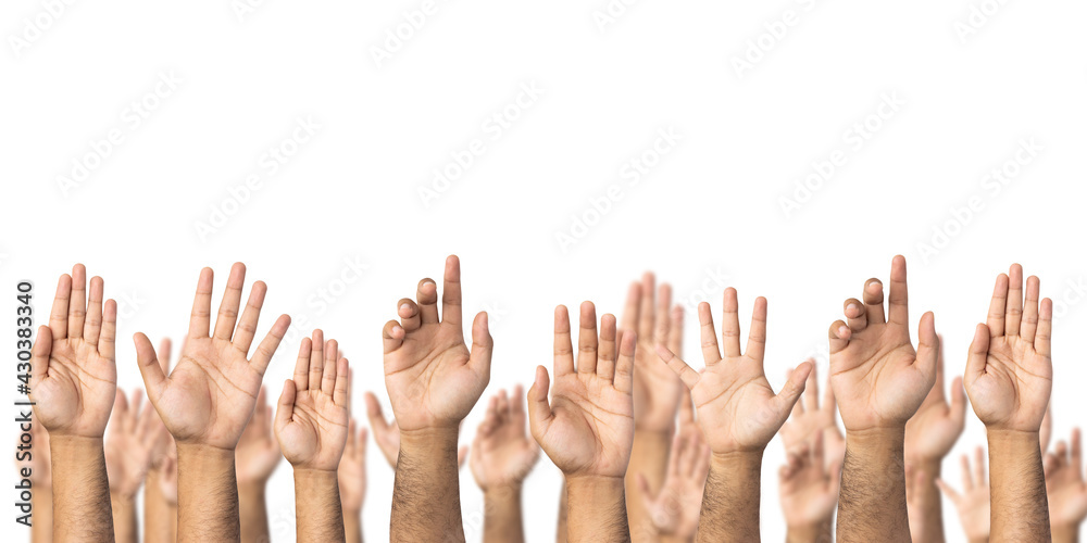 A lot of hand raised up to the air isolated white background. Raise your hand to vote for the majority of votes Election of the leader of the country.