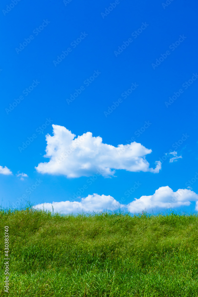 緑の草原と青空に雲 緑の草原と青空に雲