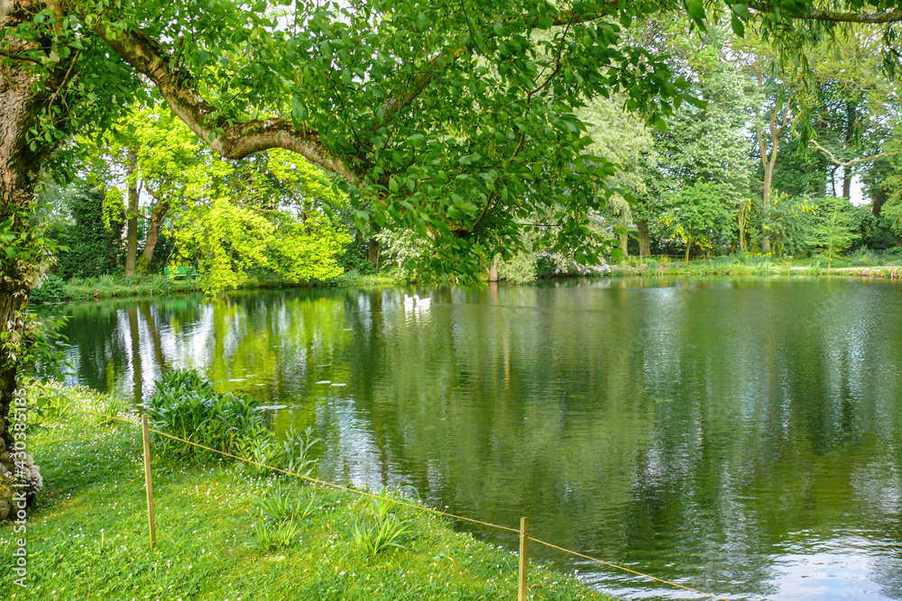 Etang arboré en campagne Etang arboré en campagne