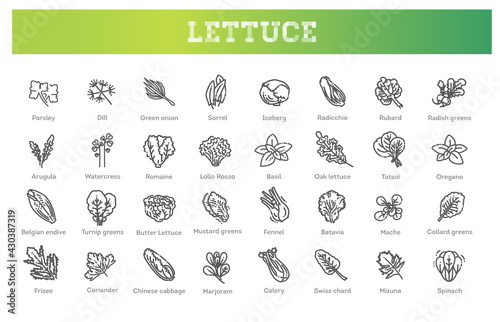 Green vegetables flat line icons set.