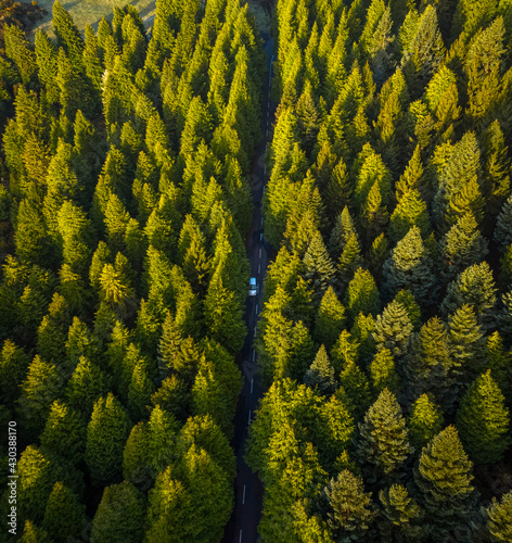 Aerial view of a car driving a road crossing the forest, Chão das Feiteiras, Madeira Island. photo