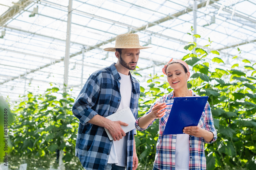Obraz premium smiling african american farmer pointing at clipboard near colleague with digital tablet
