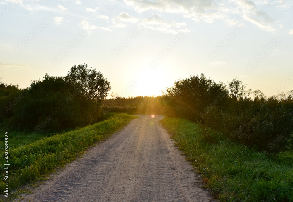 Country road on Sunset. Dirt road with agricultural field in the countryside against the background of forest and bright rays of the sun