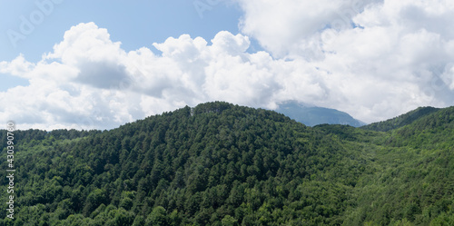 Beautiful landscape. Mountains covered with dense pine forest. Mount Olympus in Greece  National Natural Park. Blue sky with white cumulus clouds. Scenery. Summer time. Horizontal photo. 