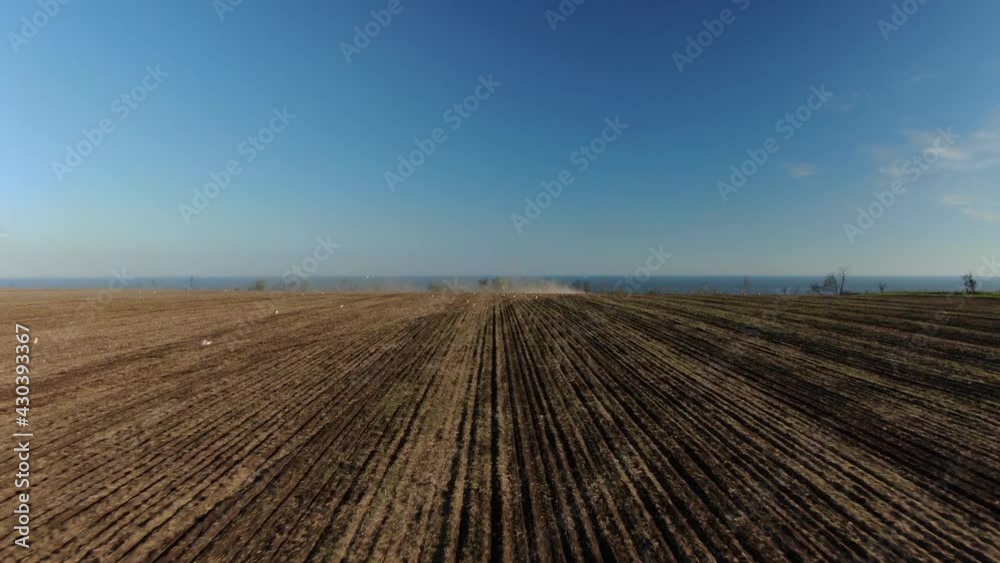 Aerial view Harvester machines working in field. Top view from the drone Combine harvester agricultural machine plowed field.