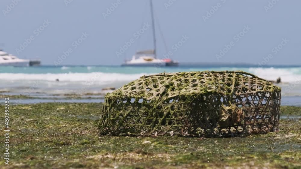 Stockvideo African trap for catching fish and starfish in shallow water