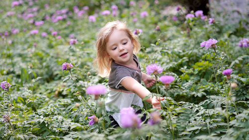  Beautiful cute little girl blonde two years old on the field in the garden in purple flowers. The child runs, jumps, has fun, grimaces in nature 
