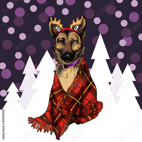 Hand drawn portrait of german shepherd dog wearing deer horn hat and plaid blanket. Vector Christmas poster. Xmas greeting card. Winter seasonal celebration. Colored new year pet portrait.