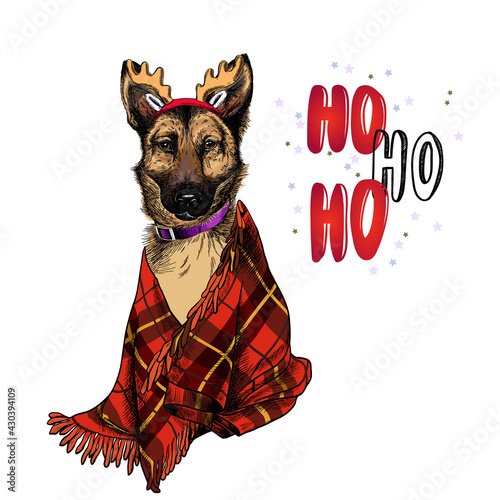 Hand drawn portrait of german shepherd dog wearing deer horn hat and plaid blanket. Vector Christmas poster. Xmas greeting card. Winter seasonal celebration. Colored new year pet portrait.