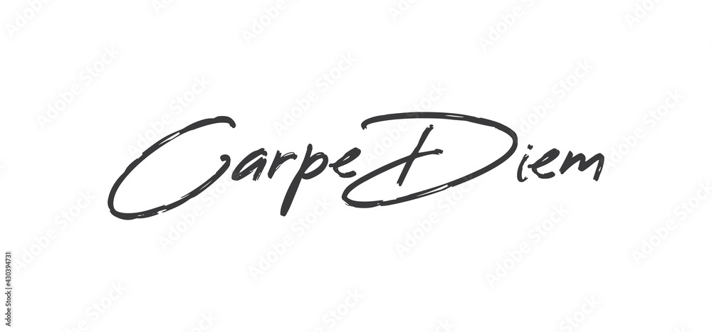 Carpe Diem lettering text, hand drawn typographic style phrase. Motivational quote handwritten design. Carpe Diem lettering text, hand drawn typographic style phrase. Motivational quote handwritten design.