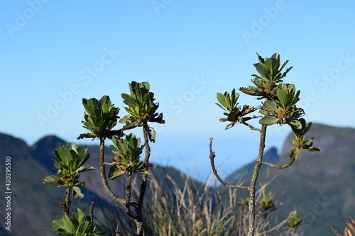 Três Picos