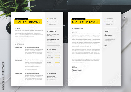 CV/resume template. stylish minimalism