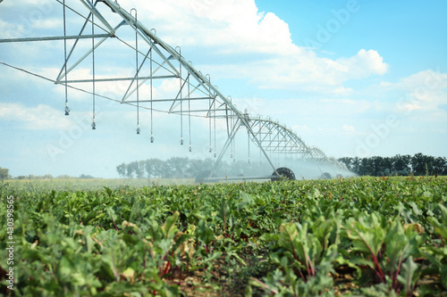 Fototapet Center pivot irrigation system watering agricultural field
