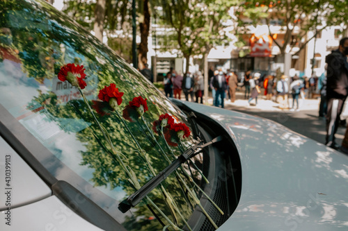 Carnage flowers on a Car during theCarnation Revoltuiom march in Portugal