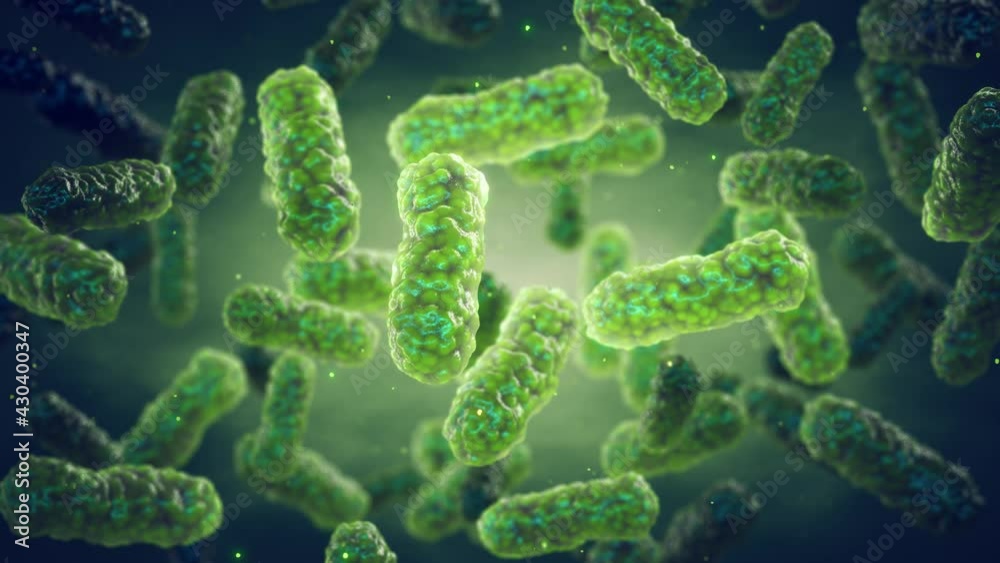 Animation of rod shaped pathogenic bacteria under microscope. Bacterial infection and antibiotic resistance concept.