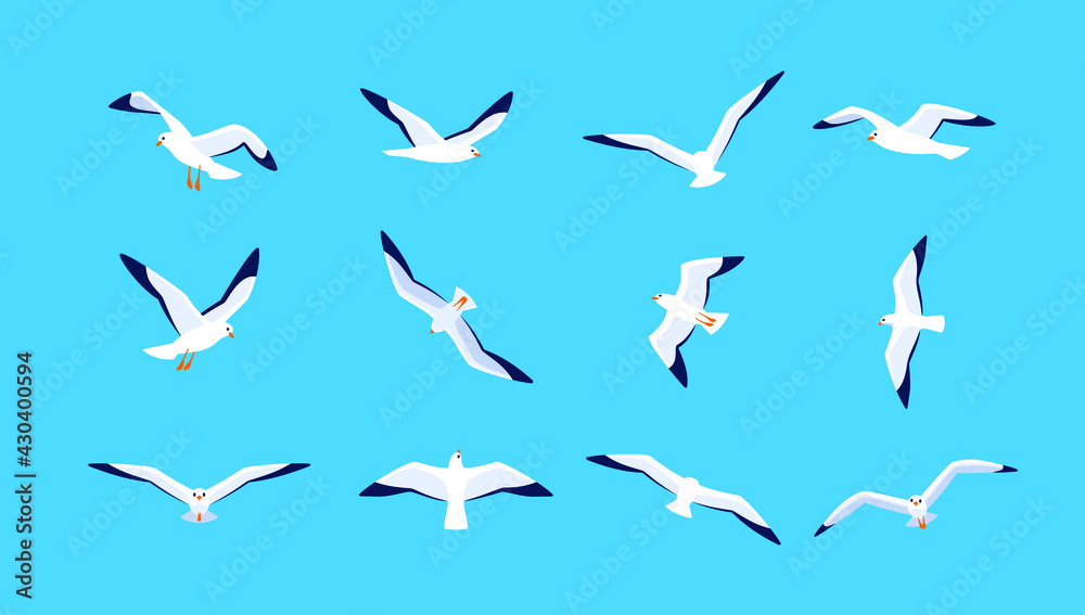 Fototapeta premium Sea gulls flying in sky. Set of seabirds. Isolated silhouettes on blue background. Vector illustration in flat style.