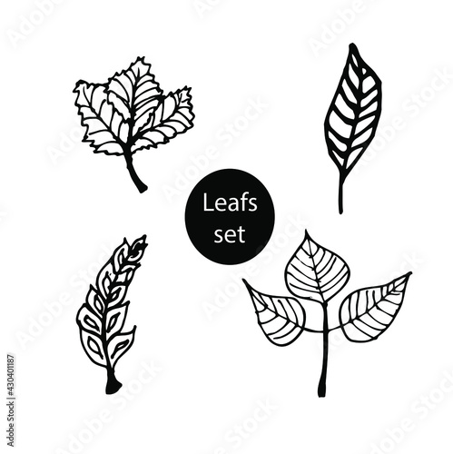 Botanic set vector isolated white and black vector icon branch, leafs, hand drawning, for floristic