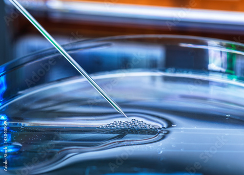 UK, Buckinghamshire, High Wycombe, Close-up of petri dish and pipette photo