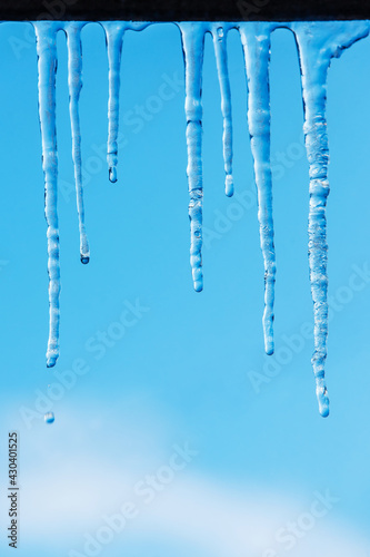 Icicles on a blue sky background with clouds. Spring or winter theme with transparent clear thawing ice shining in the sun. Frozen water, water drops, droplets, icicles, thaw. Vertical