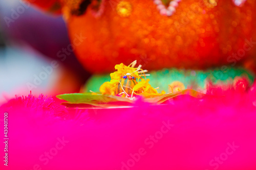 Canvas Print Indian traditional wedding ceremony photography
