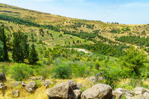 Landscape of the Eshkol forest photo
