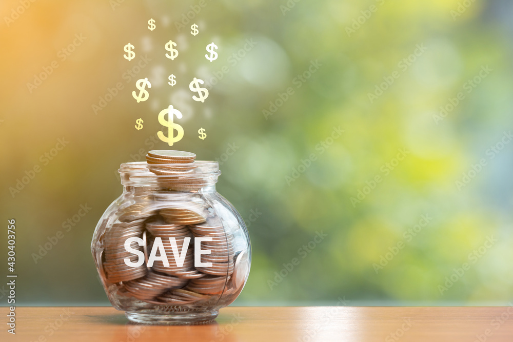 dollar sing ideas growing money, creative business finance saving money investment, plant growth saving money successful for future concept, business growth coin money finance investment conceptual. dollar sing ideas growing money, creative business finance saving money investment, plant growth saving money successful for future concept, business growth coin money finance investment conceptual.