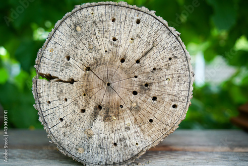 An insect hotel can be easily made from a variety of materials and is very good at watching the insects