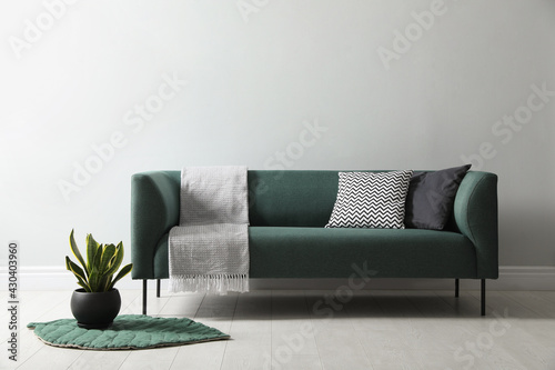 Stylish living room interior with comfortable green sofa and beautiful plant photo