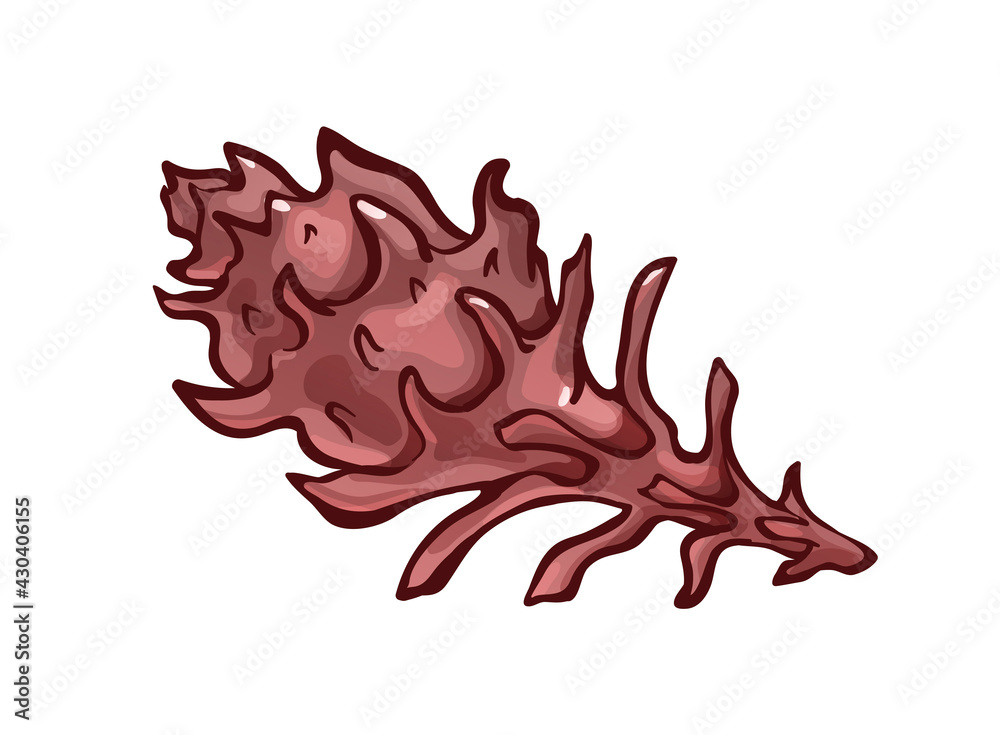 Decorated seashell with long appendages. Sea ocean Decorated seashell with long appendages. Sea ocean