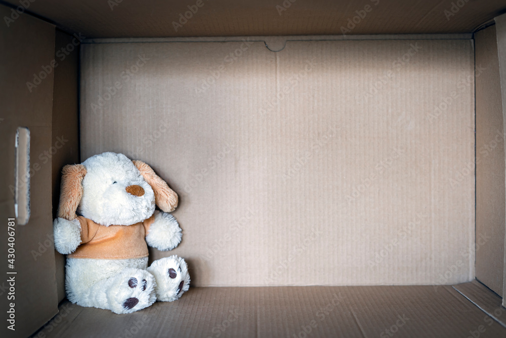 Teddy bear in box - obrazy, fototapety, plakaty 