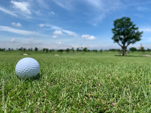 Golf ball on the green for golf course concept