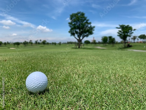 Golf ball on the green for golf course concept